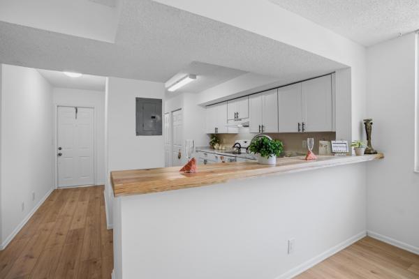 Courtyards Of Coral Springs, 8296 NW 24th St, Coral Springs, Florida 33065, image 1