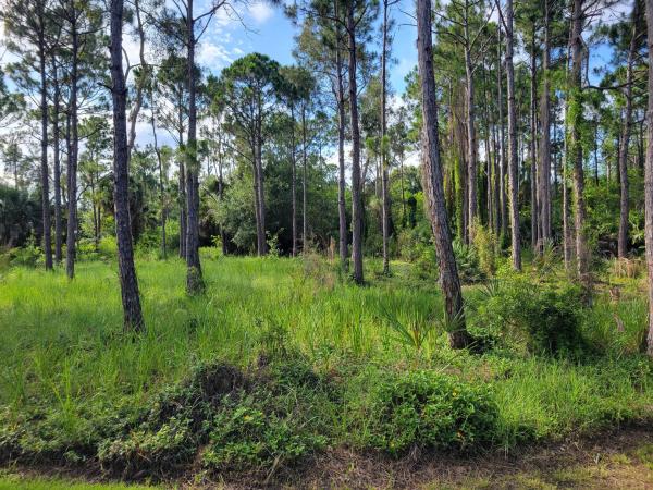 St Lucie Gardens, 00 Shanas Trl, Port St. Lucie, Florida 34952, image 3
