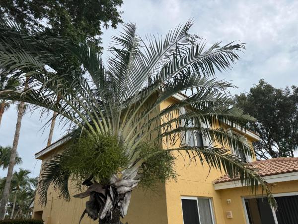 Liberty Bay At Briar Bay, 3472 Commodore Ct, West Palm Beach, Florida 33411, image 3