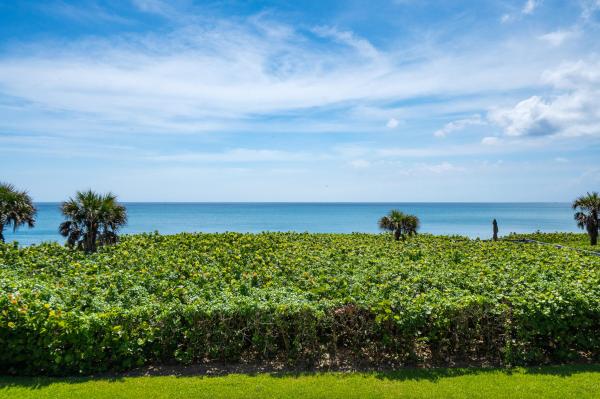 Juno Shores Resort, 420 Celestial Way #205, Juno Beach, Florida 33408, image 3