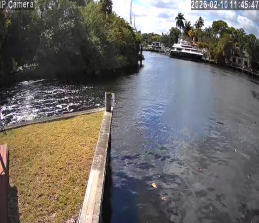 Rio Nuevo Isle, 1200 Davie Blvd, Fort Lauderdale, Florida 33315, image 3