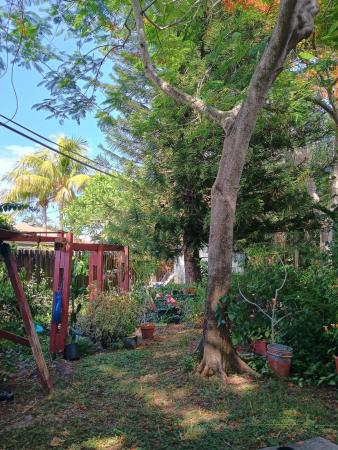 Forest Ridge Park, 831 N Forest Hill Blvd, West Palm Beach, Florida 33405, image 3