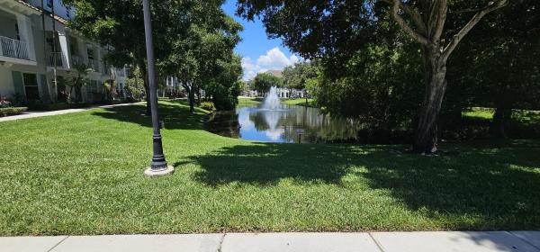 Firenze, 1213 Via Fatini, Boynton Beach, Florida 33426, image 3