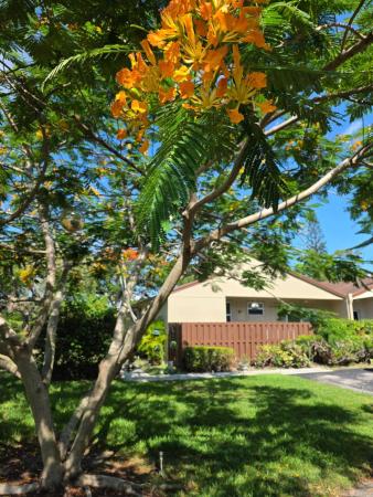 Timberwalk At Loggers Run, 11600 Timbers Way #37A, Boca Raton, Florida 33428, image 1