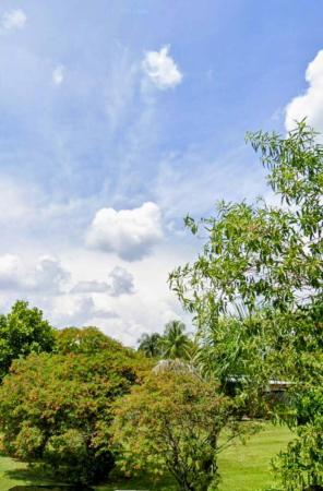 Everglades Land Sales, 6955 SW 57th St, Davie, Florida 33314, image 2