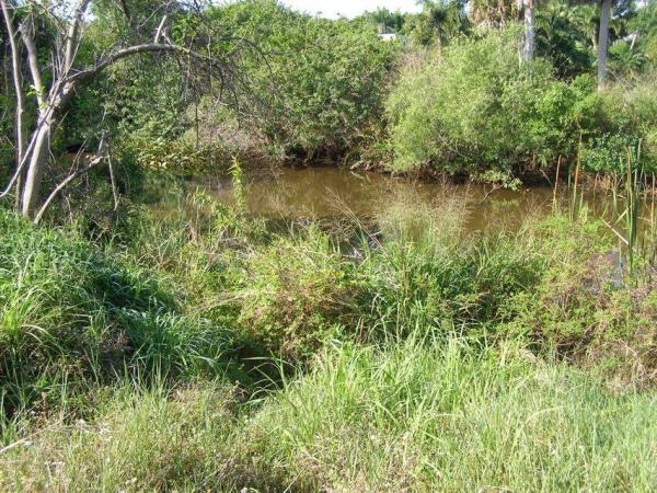 River Park, 506 NE Oleander Ave, Port St. Lucie, Florida 34952, image 1