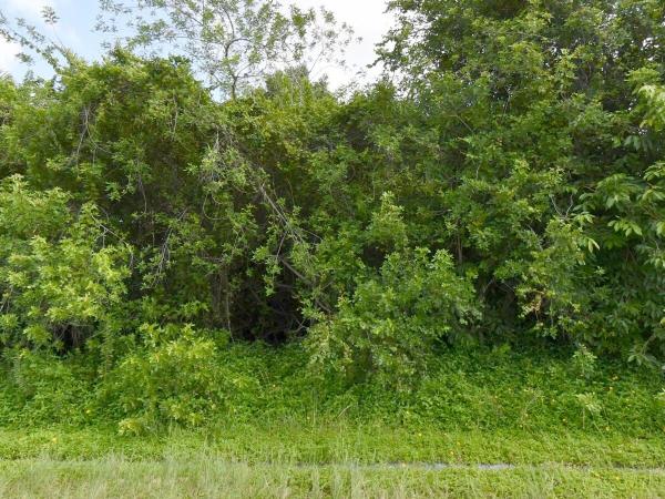 1081 SW Dartmouth Ave, Port St. Lucie, Florida 34953, image 1