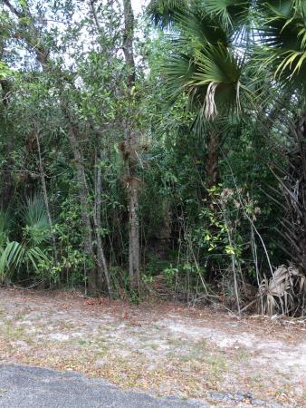 White City, 1802 Old River Rd, Fort Pierce, Florida 34982, image 2