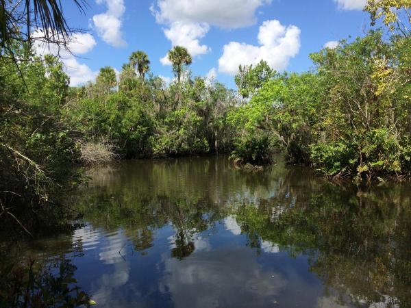 White City, 1802 Old River Rd, Fort Pierce, Florida 34982, image 3