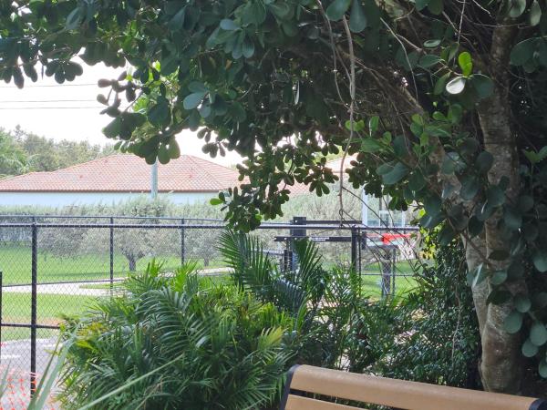 Bella Terra, 3686 NW 85th Ter, Cooper City, Florida 33024, image 1