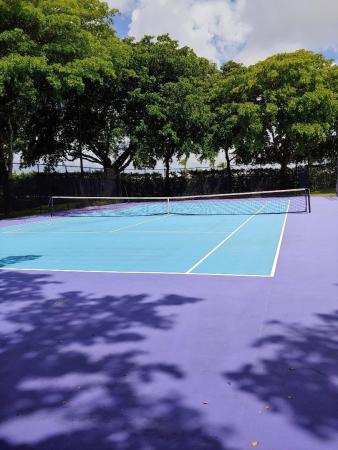 Lake Emerald, 105 Lake Emerald Dr #406, Oakland Park, Florida 33309, image 1