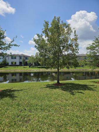 Cascata At MiraLago, 10930 Windward St, Parkland, Florida 33076, image 1