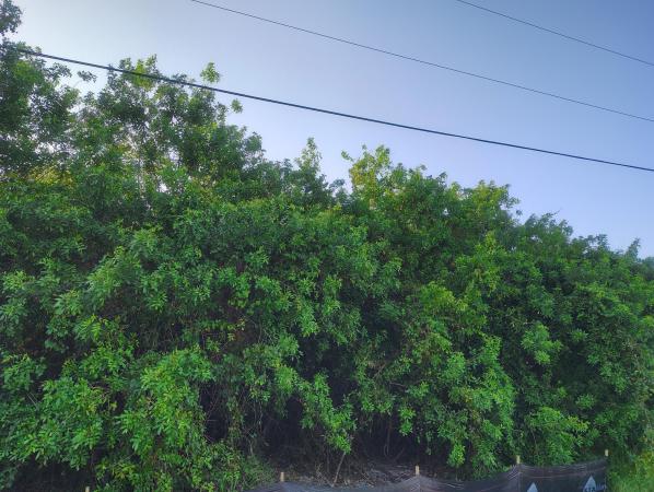 3931 SW Port St Lucie Blvd, Port St. Lucie, Florida 34953, image 2