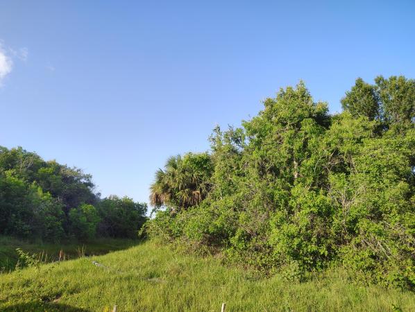 3921 SW Port Saint Lucie Blvd, Port St. Lucie, Florida 34953, image 2