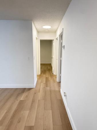 Timber Pine, 2630 W 28th St, Riviera Beach, Florida 33404, image 3