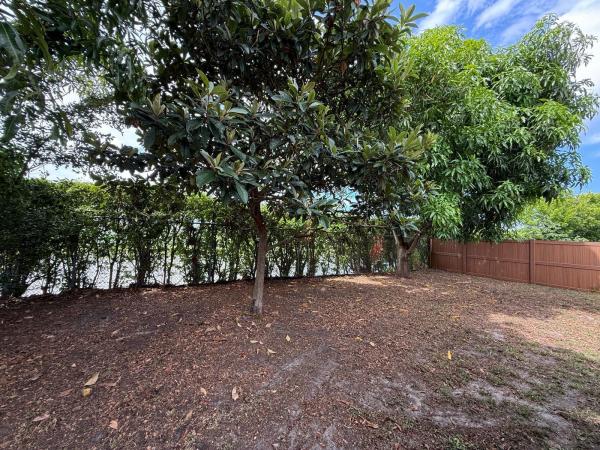 Timber Pine, 2630 W 28th St, Riviera Beach, Florida 33404, image 3