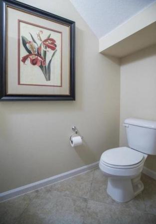 Centra Blue Lake Townhomes, 1485 NW 48th Dr, Boca Raton, Florida 33431, image 2