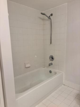 Royal Grand, 2640 S University Dr #305, Davie, Florida 33328, image 2