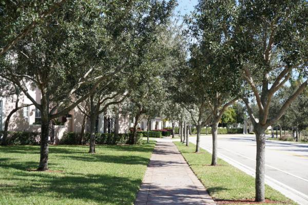 Peninsula Village Greens At Central Park, 8305 NW 7th Ct, Boca Raton, Florida 33487, image 1