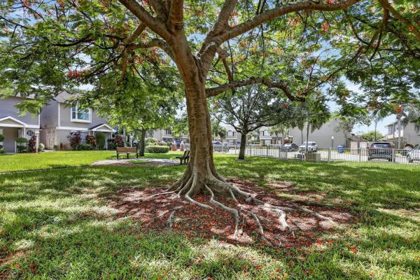 Colony Courts, 12175 NW 36th Pl, Sunrise, Florida 33323, image 3