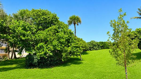 South Palm Beach Villas, 4501 S Ocean Blvd #F2, South Palm Beach, Florida 33480, image 3