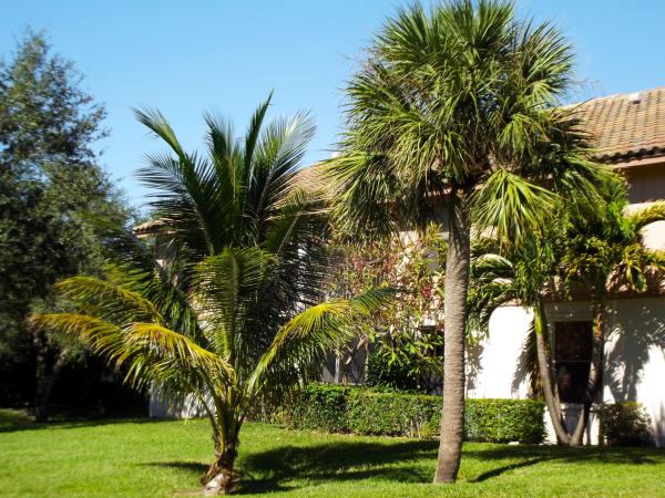 3355 Jaywood Ter #2140, Boca Raton, Florida 33431, image 3