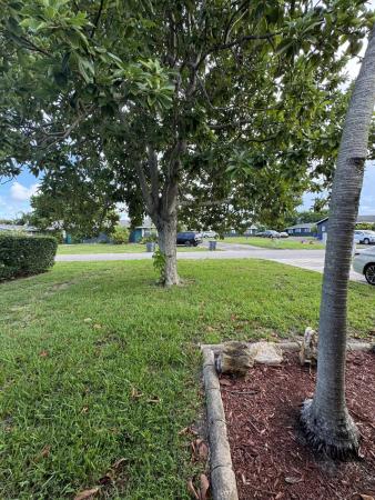 4353 Broadway St, Lake Worth, Florida 33461, image 3