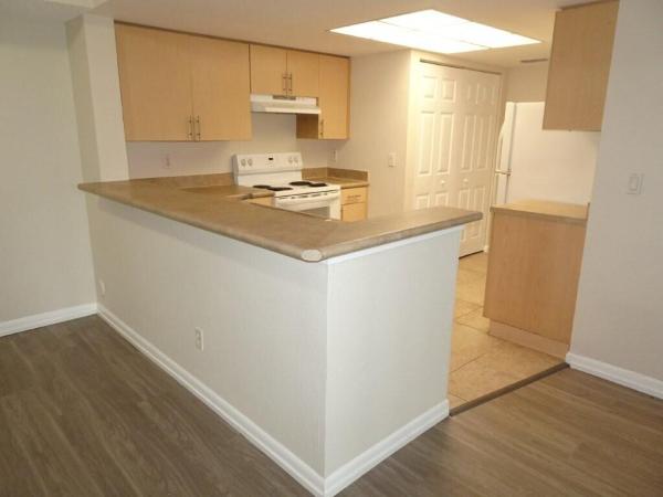 Visconti, 9122 W Atlantic Blvd #713, Coral Springs, Florida 33071, image 3