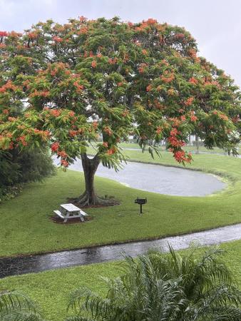 The Palm Club, 1007 Green Pine Blvd #F3, West Palm Beach, Florida 33409, image 3
