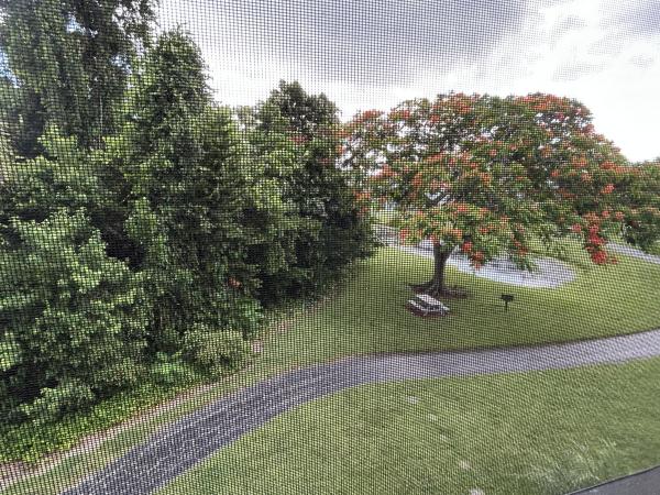 The Palm Club, 1007 Green Pine Blvd #F3, West Palm Beach, Florida 33409, image 1