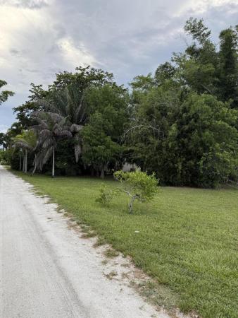 345 Citrus Dr, Loxahatchee, Florida 33470, image 1
