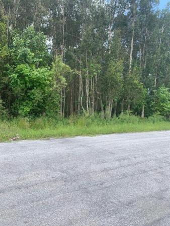 The Acreage Residential, 0000 87th St STREET, The Acreage, Florida 33412, image 2