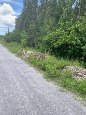 The Acreage Residential, 0000 87th St STREET, The Acreage, Florida 33412, image 1