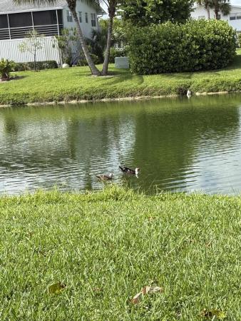 25 Kent B, West Palm Beach, Florida 33417, image 2