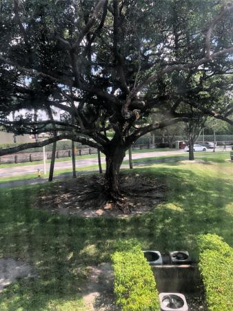 New Hampton At Century Village, 151 SW 135th Ter #203T, Pembroke Pines, Florida 33027, image 1