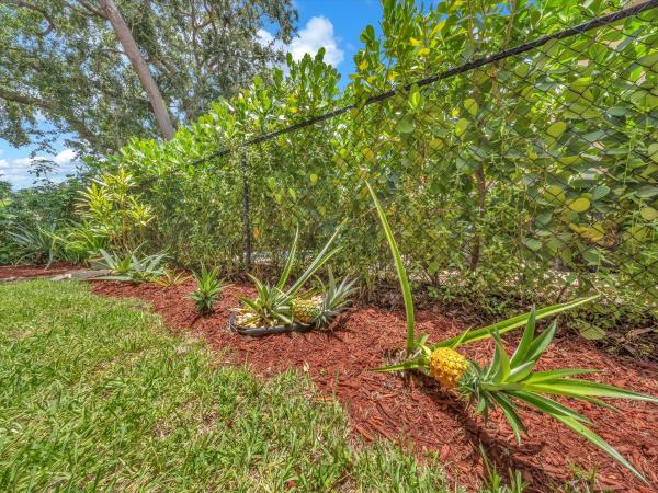 Parkwood, 6029 NW 74th St, Parkland, Florida 33067, image 1