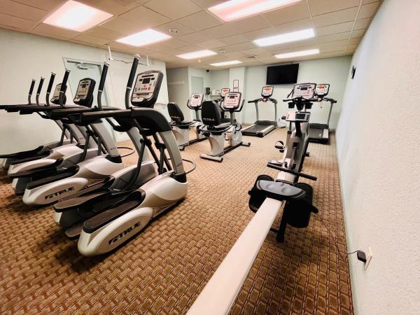 Sea Ranch Club A, 5100 N Ocean Blvd #602, Lauderdale By The Sea, Florida 33308, image 3