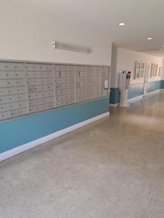 Lighthouse Point Plaza, 4502 N Federal Hwy #231D, Lighthouse Point, Florida 33064, image 3