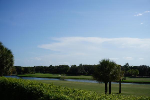 Whitehall Village, 2811 Village Blvd #201, West Palm Beach, Florida 33409, image 3