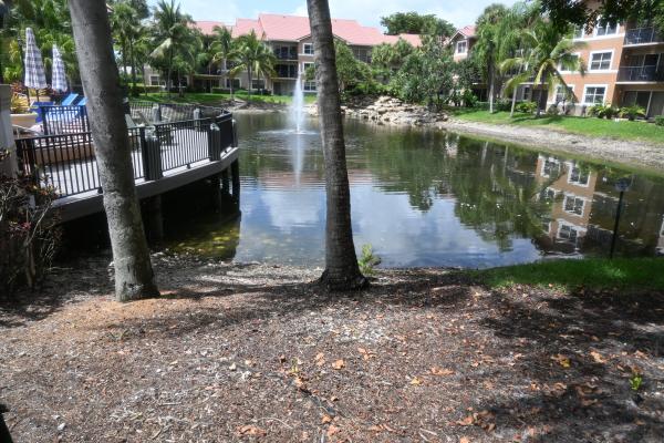 Edgewater, 8721 Wiles Rd #305, Coral Springs, Florida 33067, image 3