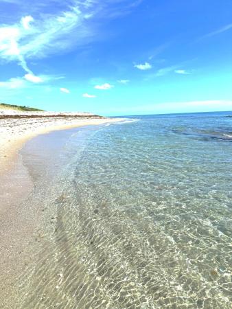 Water Glades, 5540 N Ocean Dr #8C, Riviera Beach, Florida 33404, image 3