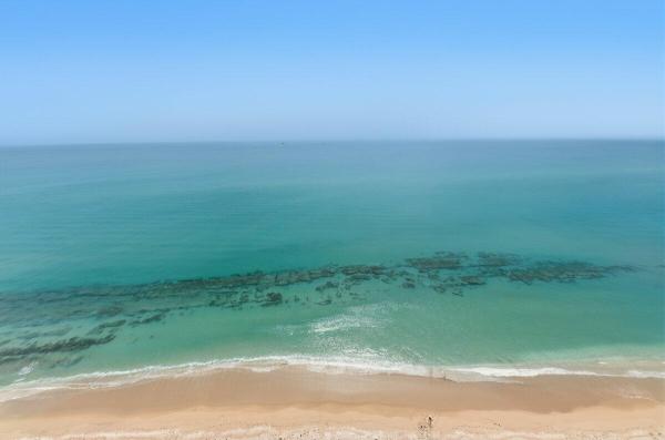 5420 N Ocean Dr #1702, Riviera Beach, Florida 33404, image 3