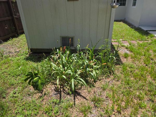 South Middle River, 1220 NE 1st Ave, Fort Lauderdale, Florida 33304, image 3