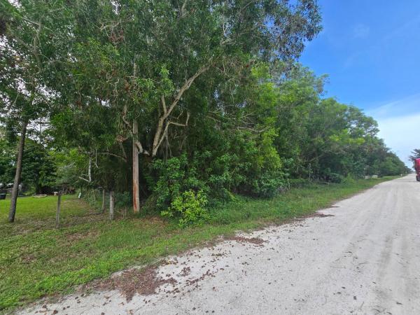 The Acreage Residential, 17665 46th Ct COURT, The Acreage, Florida 33470, image 3