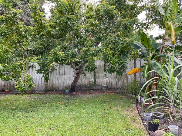 Dillman Farms, 6566 Spring Meadow Dr, Greenacres, Florida 33413, image 2