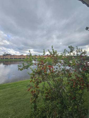 The Cove At Briar Bay, 3490 Briar Bay Blvd #206, West Palm Beach, Florida 33411, image 2