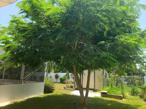Port St Lucie Residential, 786 SW Lakehurst Dr, Port St. Lucie, Florida 34983, image 3