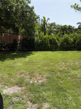 Shadywoods 1, 3680 Arelia Dr S, Delray Beach, Florida 33445, image 3