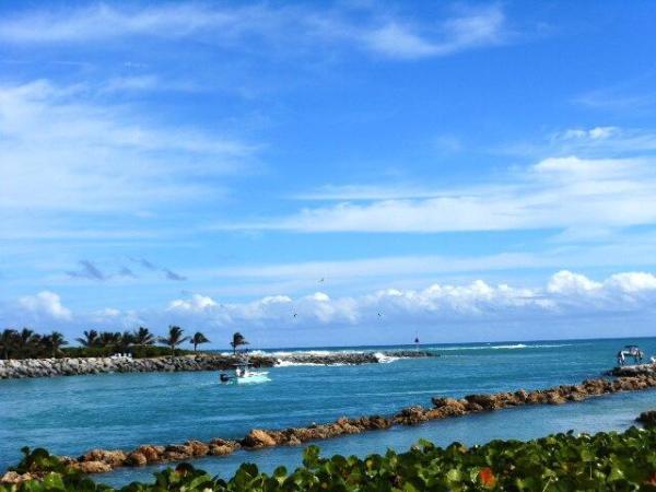 The Marina At The Bluffs, 2001 Marina Isle Way #203, Jupiter, Florida 33477, image 1