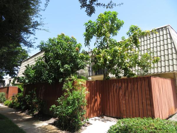 Embassy Park, 1700 Embassy Dr #708, West Palm Beach, Florida 33401, image 3